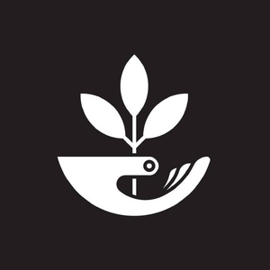 Made-to-Flourish-26-Digital-Lightbridge.png
